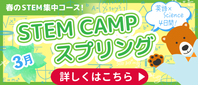 STEM CAMP